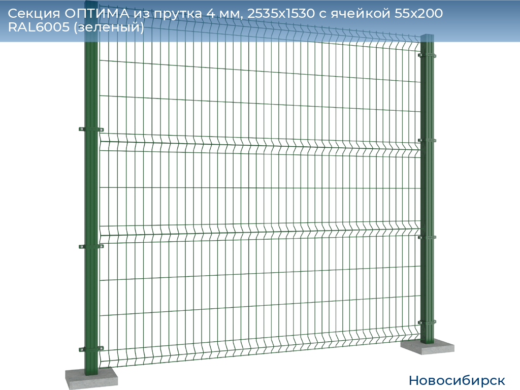 Секция ОПТИМА из прутка 4 мм, 2535x1530 с ячейкой 55х200 RAL6005 (зеленый), novosibirsk.doorhan.ru