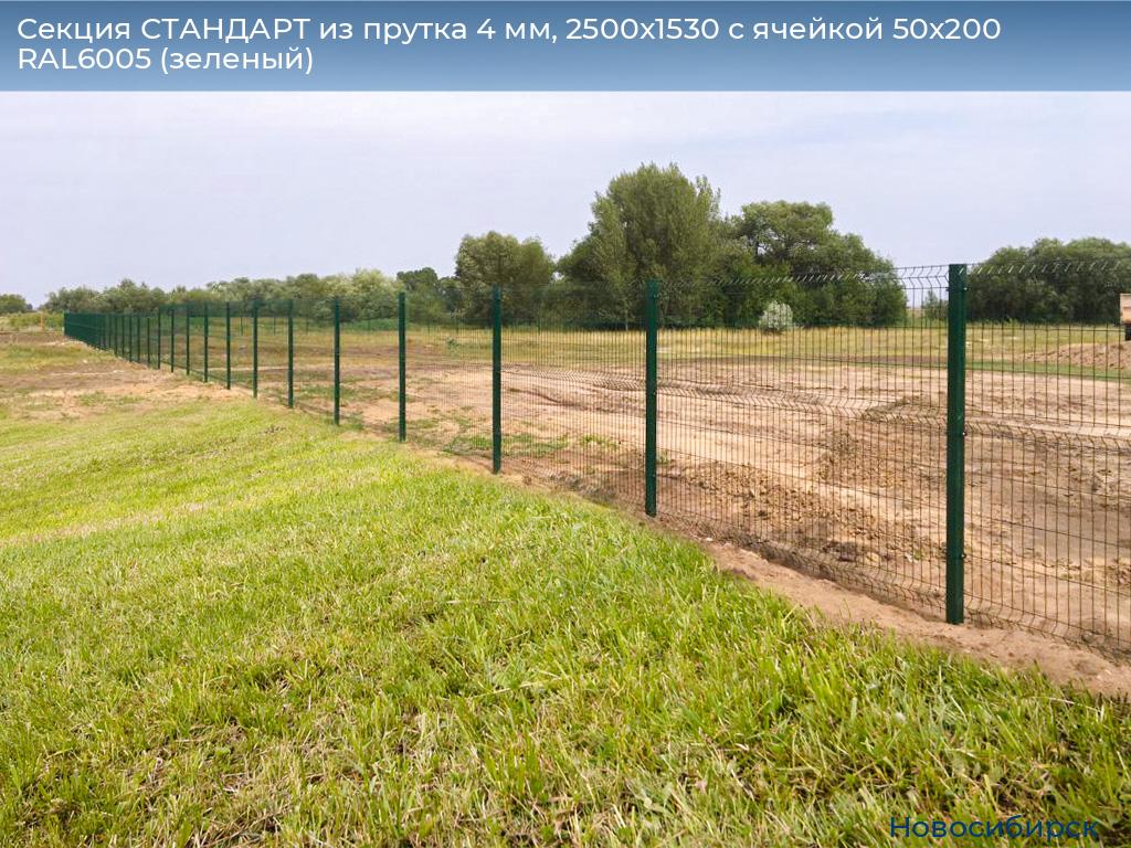 Секция СТАНДАРТ из прутка 4 мм, 2500x1530 с ячейкой 50х200 RAL6005 (зеленый), novosibirsk.doorhan.ru