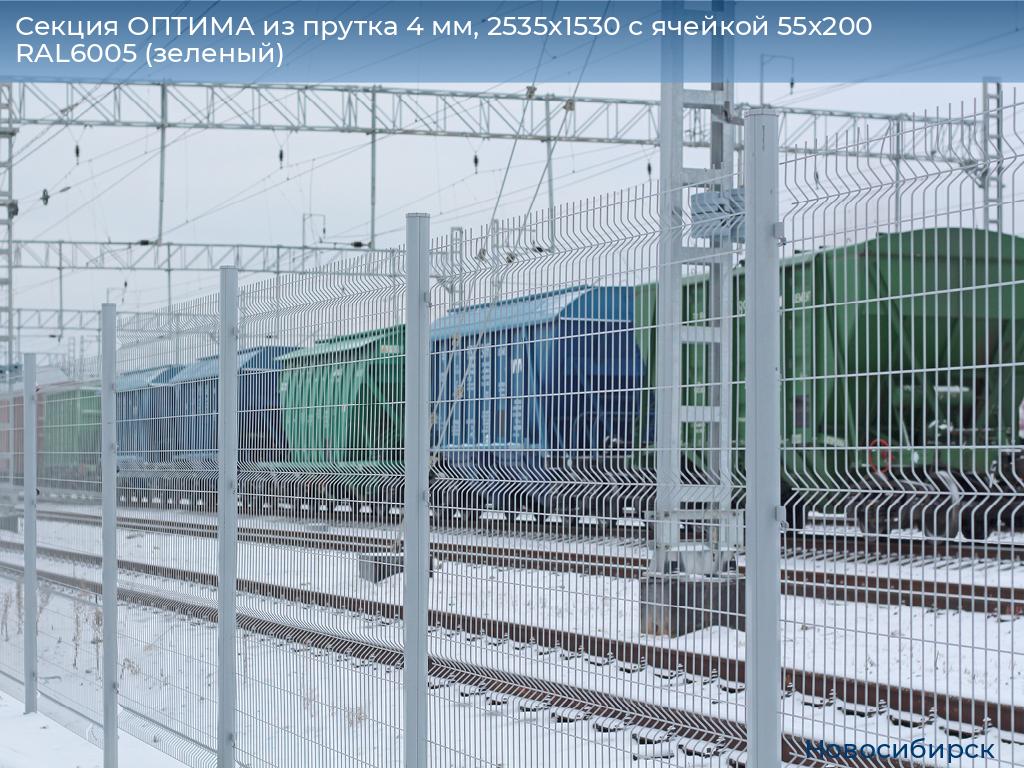 Секция ОПТИМА из прутка 4 мм, 2535x1530 с ячейкой 55х200 RAL6005 (зеленый), novosibirsk.doorhan.ru