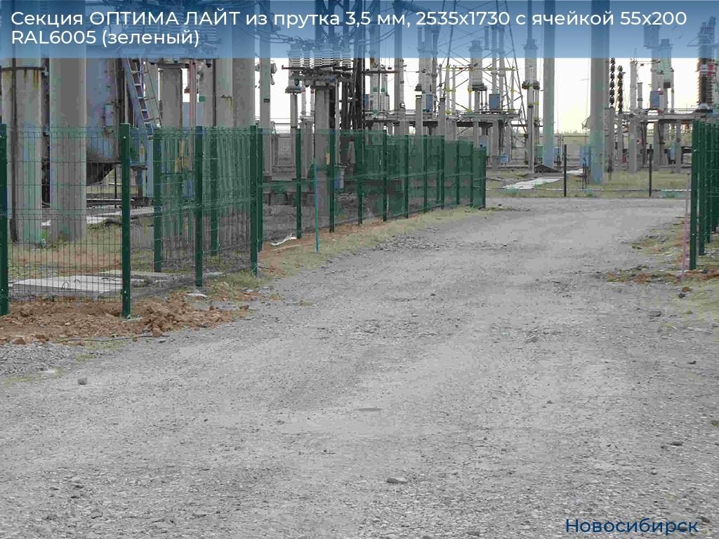 Секция ОПТИМА ЛАЙТ из прутка 3,5 мм, 2535x1730 с ячейкой 55х200 RAL6005 (зеленый), novosibirsk.doorhan.ru
