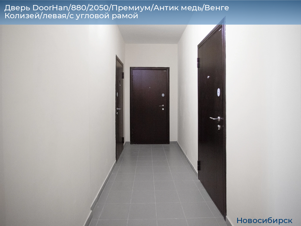 Дверь DoorHan/880/2050/Премиум/Антик медь/Венге Колизей/левая/с угловой рамой, novosibirsk.doorhan.ru