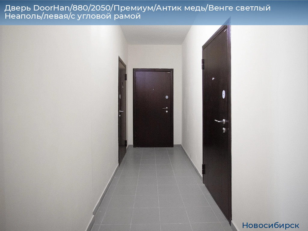 Дверь DoorHan/880/2050/Премиум/Антик медь/Венге светлый Неаполь/левая/с угловой рамой, novosibirsk.doorhan.ru