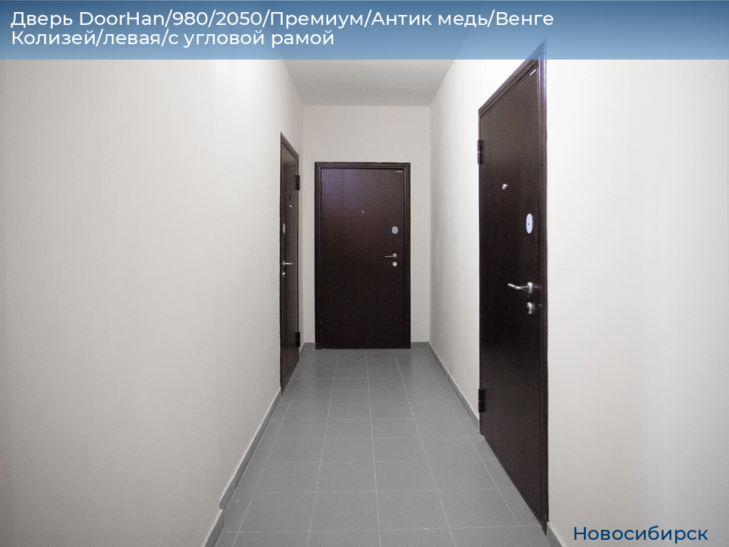 Дверь DoorHan/980/2050/Премиум/Антик медь/Венге Колизей/левая/с угловой рамой, novosibirsk.doorhan.ru