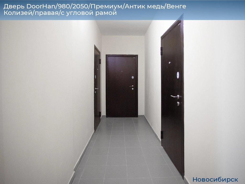 Дверь DoorHan/980/2050/Премиум/Антик медь/Венге Колизей/правая/с угловой рамой, novosibirsk.doorhan.ru