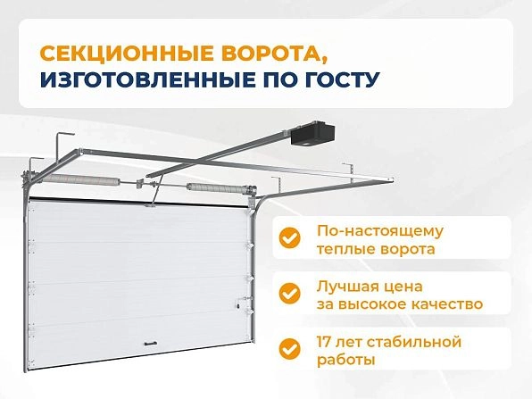 Cекционные ворота 2900х3000 мм антрацитовые DoorHan RSD02, novosibirsk.doorhan.ru